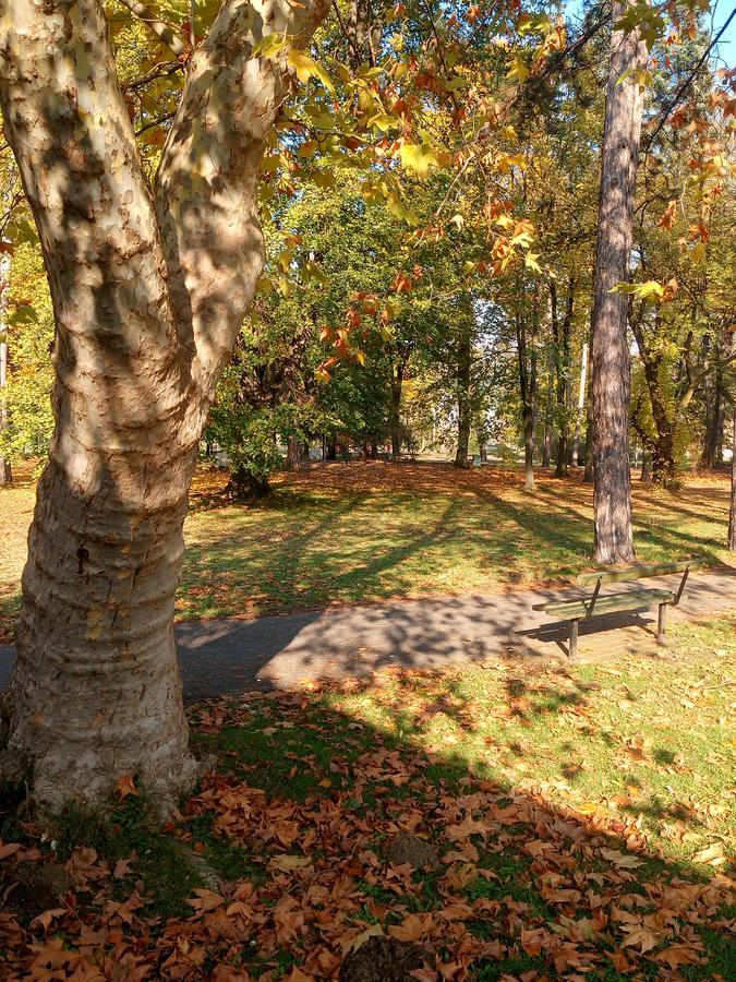 S' Centro - Park Apartments Кралево Екстер'єр фото